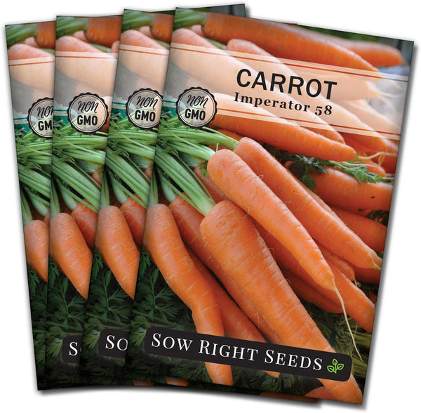 Sow Right Seeds - Imperator 58 Carrot Seed for Planting - Non-GMO