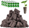 Haligo 100pcs Square Pods for Hydroponics Growing System, 50pcs Square Grow Sponges