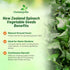 200 Outsidepride New Zealand Spinach Seeds - Pcs. Annual, Humid & Heat-Tolerant, Nutrient-Rich Herb Seeds for Planting