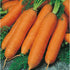Fertile Ukraine Seeds 1000 Seeds Carrot Red Giant Vegetable for Planting Heirloom Non GMO - Seeds