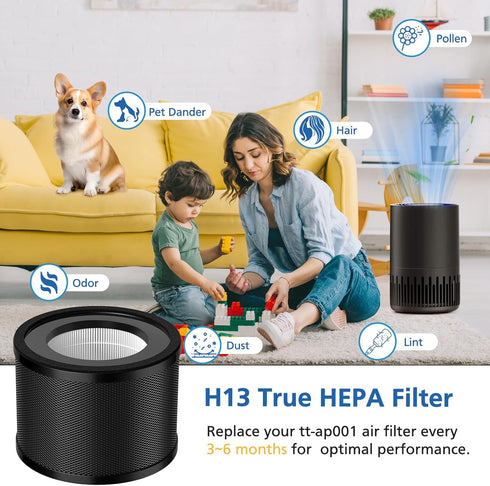 2 Pack HEPA Replacement Filter, Compatible with TaoTronics TT-AP001 and VAVA VA-EE014, 3-in-1 Filter