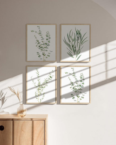 HAUS AND HUES Set of 4 Botanical Plant Wall Art Prints - Floral Kitchen Decor, Eucalyptus Leaves (11x14, UNFRAMED)