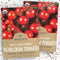 Organic Matts Wild Cherry Tomato Seeds Two Seed Packets! Over 150 Heirloom