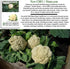 1000+ Snowball Self-Blanching Cauliflower Seeds Non-GMO & Heirloom Seeds, Brassica oleracea VAR. botrytis, Compact