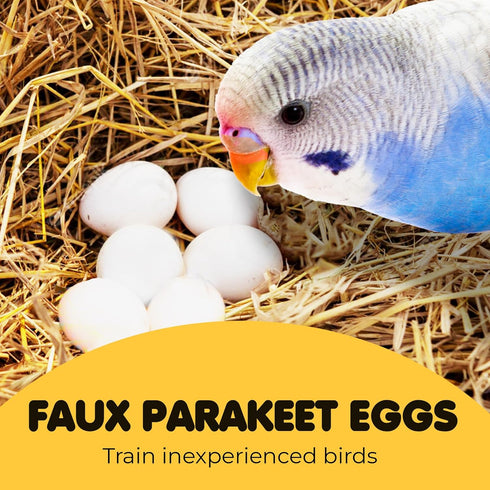 8 Pack Finch, 0.82x0.62 SunGrow Fake Wooden Eggs to Train Birds from Laying in The Nesting Boxes & to Stop from Eating
