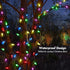 C6 60 20ft 8 WBao Battery Operated Christmas Lights, LED String Lights with Modes, Auto Timer, Waterproof for Indoor