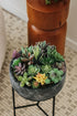 18 Pack Artificial Succulent Plants, Premium Fake Plants, Realistic Textured Cactus Decor