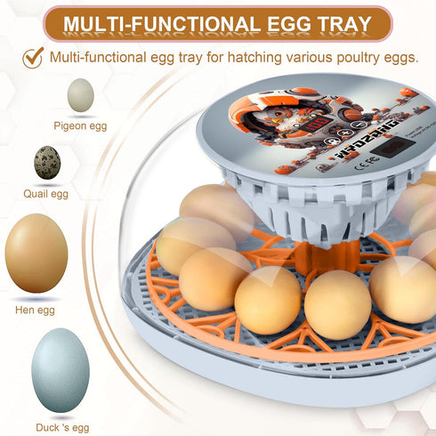 WYD2ANG 12 Smart Chicken Incubators for Hatching Eggs with Automatic Turner Small Poultry Duck Quail Egg Incubator