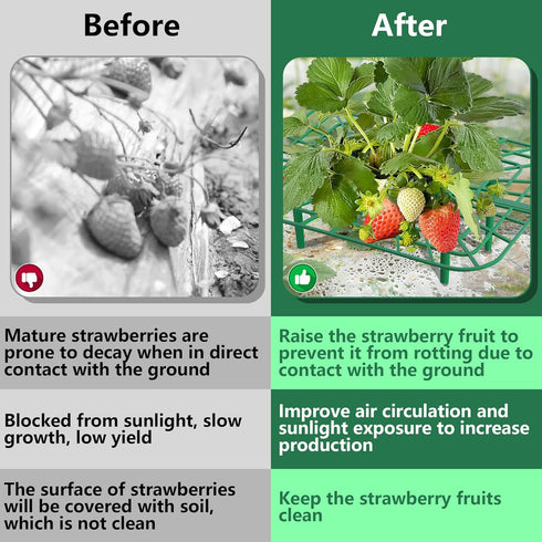 Iceyyyy 12 Packs 12PCS) Square Strawberry Supports-Strawberry Growing Racks- Plant Support Strawberry Stand Holder