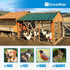 Fencer Wire 20 1-Inch (4 50 Gauge Chicken Wire Fence, Galvanized Poultry Hexagonal Netting Crafting, Chicken Coops