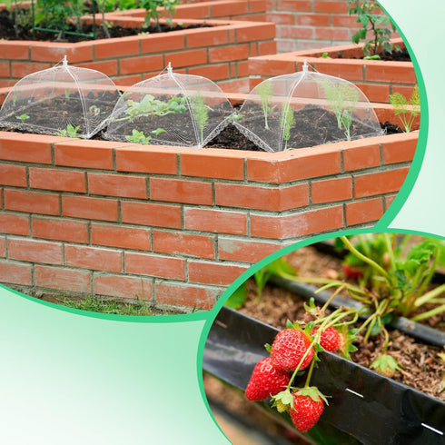 NODMIPNS 4 Sets Strawberry Plant Supports with Plant Protectors from Animals,Strawberry Growing Support Stakes