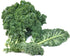 500 Kale Blue Scotch Curled Seeds - Non GMO - Heirloom - Open Pollinated