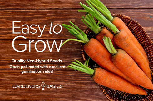 2 Gardeners Basics Carrot Seeds for Planting - Scarlet Nantes - is A Great Heirloom, Non-GMO Vegetable Variety, Grams