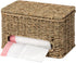 StorageWorks Trash Bag Holder with Lid, Wall Mount Seagrass Plastic Bag Holder