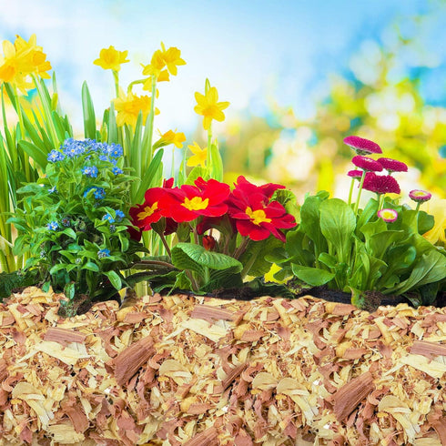 100% Natural Cedar Shavings for Indoor and Outdoor Use - Small Half Quart