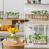 Decor(5 Bulb YIBOT Propagation Stations,Plant Terrarium with Wooden Stand,Plant Lover Gifts for Women for Hydroponics