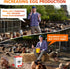 5 6 Tgeyd Chicken Waterer Gallon, with Enlarge Automatic Water Cups, Large Cicken Waterer for Chicken Duck and Goose