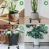 2 Pack (9.4Inches, Yimobra Plant Stand for Flower Pot Heavy Duty Potted Holder Indoor Outdoor Metal Rustproof Iron