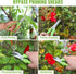 WORKPRO 2 Pcs Garden Clippers Kit, 8" Bypass Pruner & 8.5" Straight Blade Shear for Trimming Plants & Flowers
