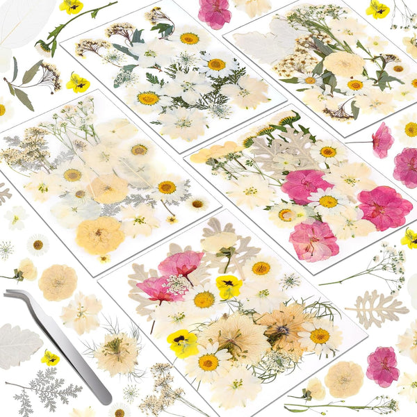 Dried Pressed Flowers for Resin, Real Pressed Flowers Dry Leaves Bulk Natural