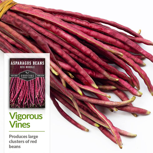 2 Packs Survival Garden Seeds - Red Noodle Asparagus Bean Seed for Planting - with Instructions to Plant and Extremely