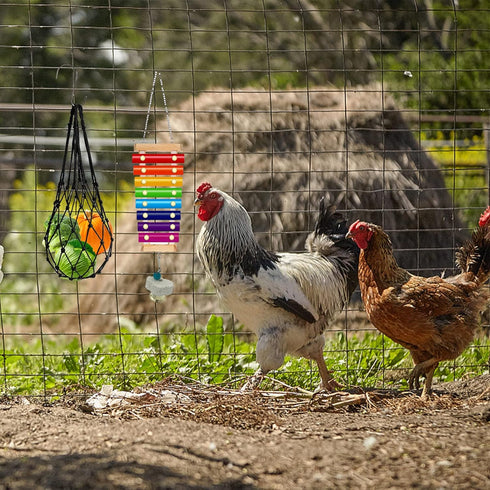 KIEYYRYT 6 Packs Chicken Toys for Coop Accessries, Chicken Swing Toys for Chicken Hens, Chicken Xylophone Toys