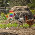 KIEYYRYT 6 Packs Chicken Toys for Coop Accessries, Chicken Swing Toys for Chicken Hens, Chicken Xylophone Toys
