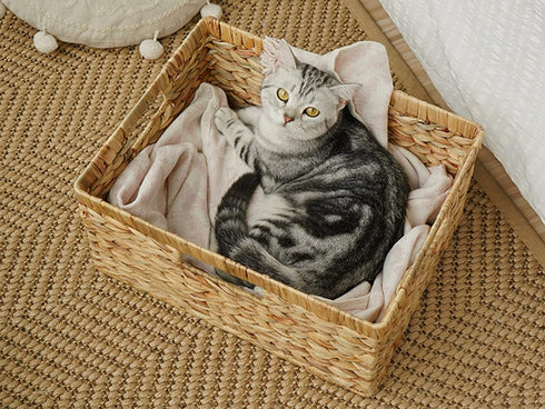 StorageWorks Jumbo Wicker Basket, Water Hyacinth with Built-in Handles for Organizing