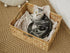 StorageWorks Jumbo Wicker Basket, Water Hyacinth with Built-in Handles for Organizing