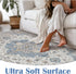 jinchan Vintage Area Rug 2x3, Washable Entryway Rug, Floral Medallion Non-Slip Soft Classic Carpet