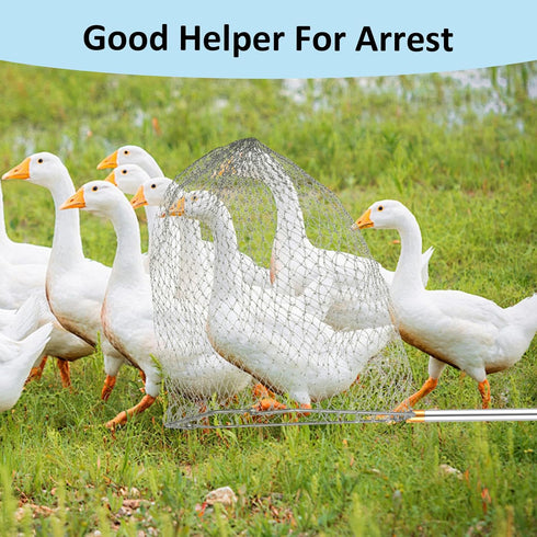 IAOVAW Set 2 74 Inch Chicken Catching Net Nets with Adjustable Pole, Lightweight Bird & Animal Catcher for Chickens