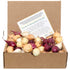 Mixed Red, White, and Yellow Onion Sets 1 Pound Non-GMO Bulbs for