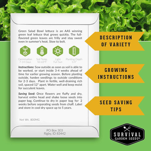 Pack 5 Leafy Greens Seeds Variety Heirlooms: Viroflay Spinach, Arugula, Lacinato Kale, Salad Bowl Lettuce & Rainbow