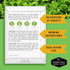 Cool Weather Garden Seeds Collection | Fall & Spring Planting Grow Broccoli, Kale, Lettuce, Spinach & Cilantro | Cold