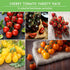 5 Pack Cherry Tomato Seeds for Planting Variety with Tiny Tim, Black Cherry, Yellow Pear, Large Red & Orange | Heirloom