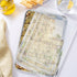 TeamFar Lasagna Pan, 12?’’ x 9¾’’ x 2’’ - Stainless Steel Rectangular Cake Brownie Baking Pan with Lid