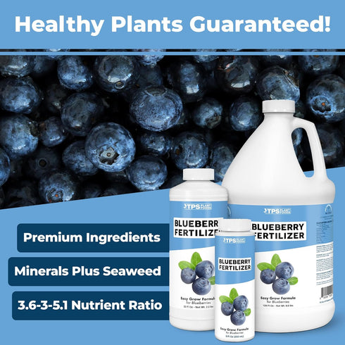 1 Blueberry Fertilizer Liquid Plant Food for Bigger Berries, Better Fruit Production & Stronger Root Development