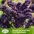 (3 Packs) Scarlet Kale Seeds for Planting Heirloom Purple Kale Cold Hardy for Fall & Spring Vegetable Gardens