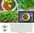 50+ Packet, Blue Lake Bush Green Bean Seeds, Heirloom Seeds Per Non GMO Seeds, (Isla's Garden Seeds), Botanical Name: