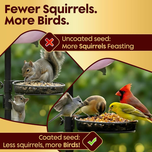 (16oz) Flaming Hot Pepper Bird Seed Oil - Extremely Spicy Squirrel Seed Sauce - Helps Limit Squirrels at Bird Feeders