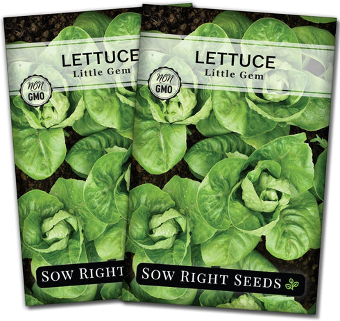 Sow Right Seeds - Little Gem Lettuce Seeds for Planting - Non-GMO