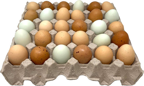 20 Pack Paper Pulp Egg Trays