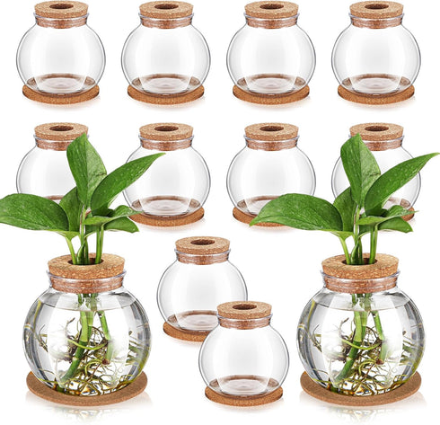 Baderke 12 Packs Propagation Vases for Plants Plastic Plant Propagation Station with