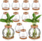 Baderke 12 Packs Propagation Vases for Plants Plastic Plant Propagation Station with