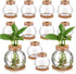 Baderke 12 Packs Propagation Vases for Plants Plastic Plant Propagation Station with