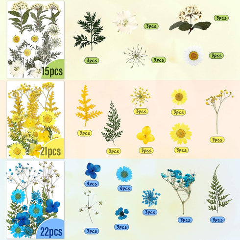 Nuanchu 223 Pcs Real Dried Pressed Flowers for Crafts, Natural Dried Leaves and Butterfly Stickers Set for DIY Resin