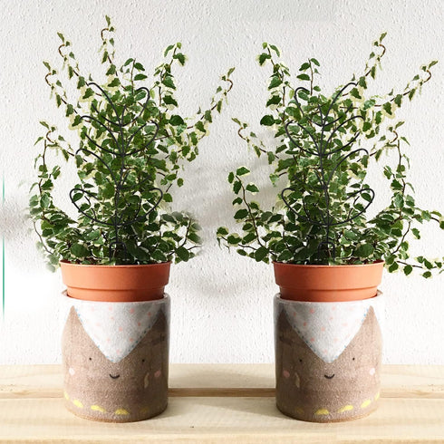 SAVITA 2pcs Trellis for Plants, Small Metal Leaf Shaped Plant Trellis Indoor House Plant Trellises Climbing Plants Mini
