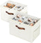 Budding Joy 2 Pack Shoe Organizer for Closet, Clear Foldable Shoe Storage