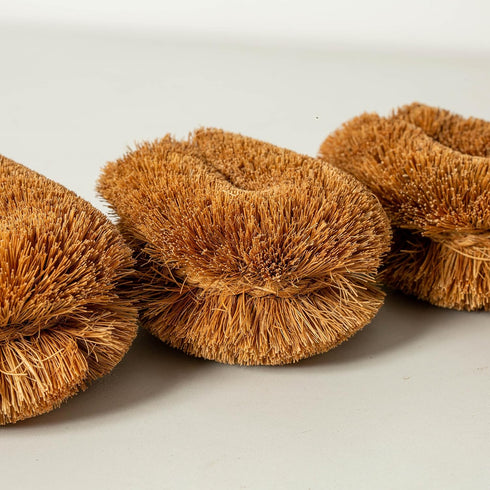 Pack 3 Brush,100% of Tawashi Vegetable Scrub Natural Coconut Coir Fiber VegetableBrush, Ideal for Fruit Scrub, Kitchen