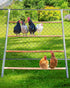 Large Chicken Perch for Coop, Roosting Bar for Hen Stand,Funny Chicken Toy